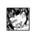 FTX002882