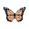 FTX0067376