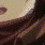 FTX0068834