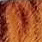 FTX0069448
