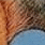 FTX0069449