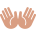 HDZEMOJI163