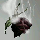 HVFAN031