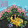 HVFAN048