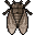 KEKOMCICADA