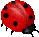 KEKOMLADYBUG