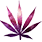 KEKOMMARIHUANA2