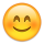KKMEMOJI205