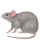 KKMEMOJI371