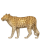 KKMEMOJI377