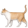 KKMEMOJI378