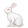 KKMEMOJI382