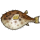 KKMEMOJI403