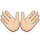 KKMEMOJI452