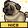 NICFA5