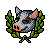 PIG01_HHCA